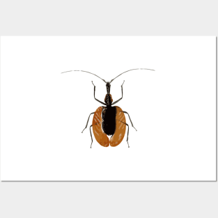 Violin Beetle Digital Painting Posters and Art